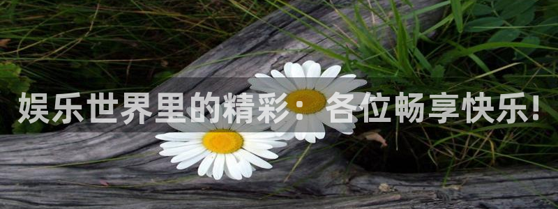 恩佐娱乐
