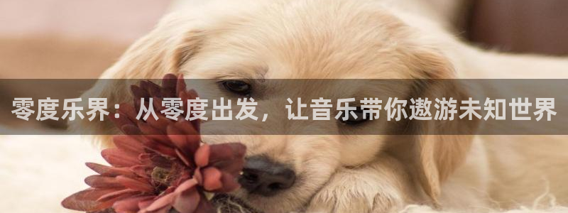 恩佐娱乐