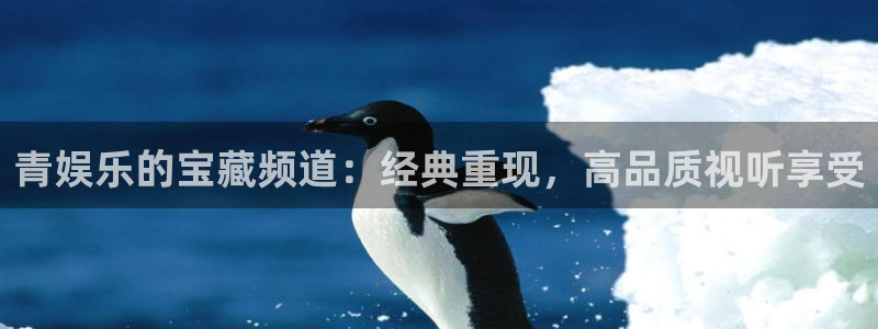 恩佐娱乐