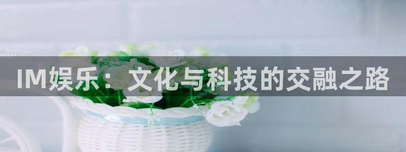 恩佐娱乐