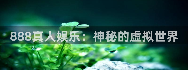 恩佐娱乐