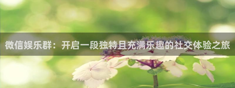 恩佐娱乐