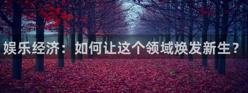 恩佐娱乐