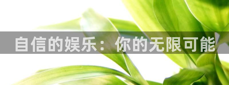 恩佐娱乐